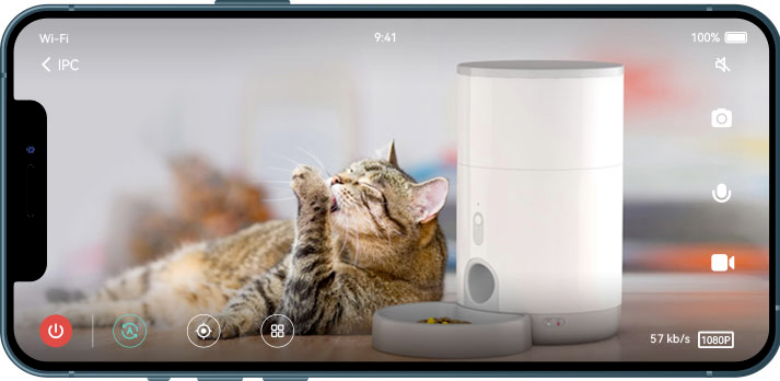 Petoneer Smart Pet Cam - Caméra intelligente Wi-Fi pour animaux de  compagnie - Caméra chat et chien - Petoneer