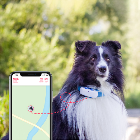 Tractive GPS Tracker pour chien avec guide d'utilisation de surveillance  d'activité