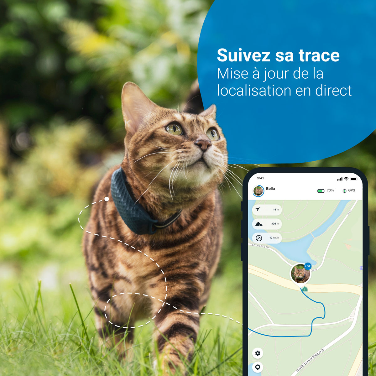 Tractive Traceur GPS pour chats - acheter sur iPet