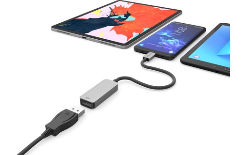 EZQuest Adaptateur USB-C vers DisplayPort 4K à 60 Hz - X40014