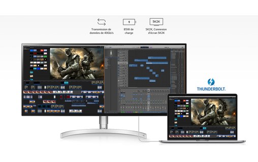 Écran 34" LG UltraWide 34WK95UP-W - 5K Thunderbolt 3