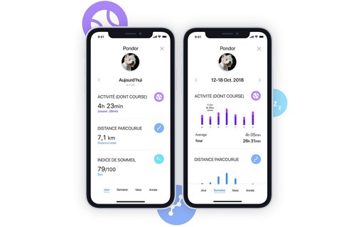 Invoxia GPS Pet Tracker LWT2 - Traceur GPS pour chats et chiens