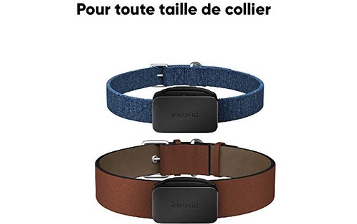 Invoxia GPS Pet Tracker LWT2 - Traceur GPS pour chats et chiens