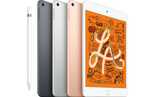 Apple iPad mini - 2019 - Wi-Fi + Cellular - 256 Go - Gris Sidéral