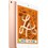 Apple iPad mini - 2019 - Wi-Fi - 64 Go - Or