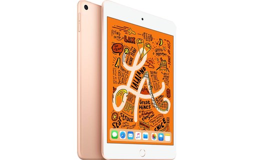 Apple iPad mini Wi-Fi 64 Go 2019 - Or