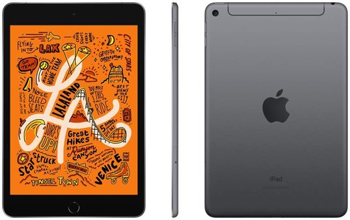 Apple iPad mini - 2019 - Wi-Fi + Cellular - 256 Go - Gris Sidéral