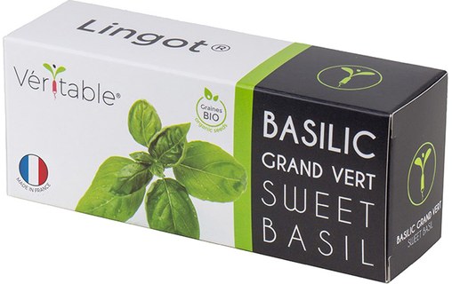 Véritable Lingot Basilic Grand Vert BIO pour potager d'intérieur
