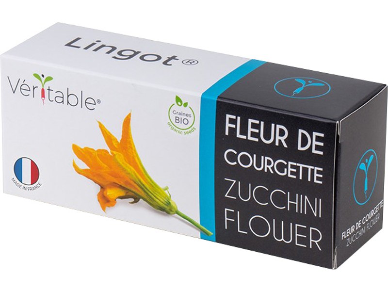 Véritable Lingot Fleur de Courgette BIO pour potager d'intérieur - Potager  connecté - Veritable