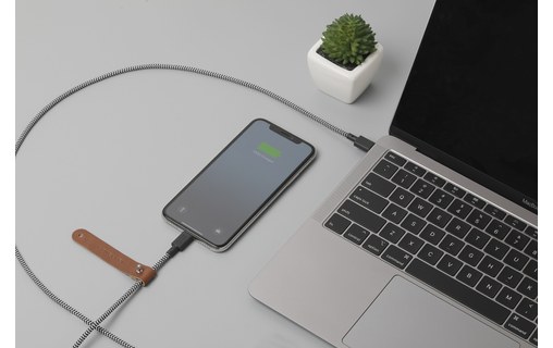 Native Union Belt Cable Zebra - Câble USB-C vers Lightning 3 m