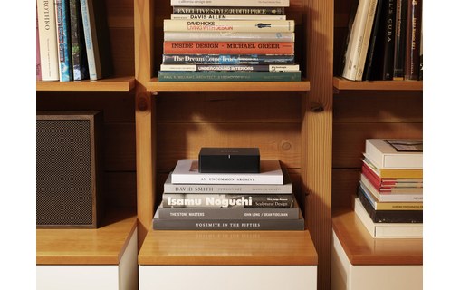Sonos Port - Adaptateur Airplay 2 / Multiroom pour système audio filaire