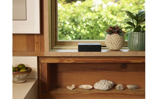 Sonos Port - Adaptateur Airplay 2 / Multiroom pour système audio filaire