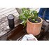 Enceinte connectée portable Bose Portable Home Speaker, Noire