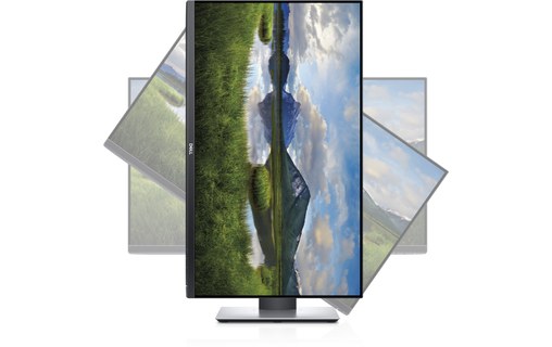 Écran 27" Dell P2719H - HDMI/DisplayPort/VGA