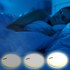 Macally LAMPCHARGEGO - Lampe / veilleuse LED avec 2x USB