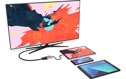 EZQuest Adaptateur USB-C vers VGA - X40013