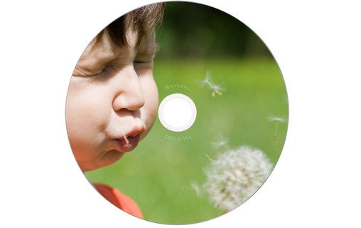 Verbatim 43521 DVD vierge 4,7 Go DVD-R 10 pièce(s)