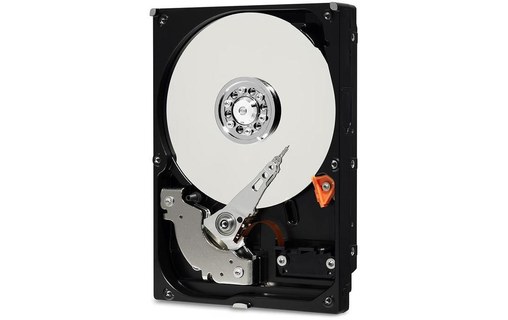 Western Digital Blue 2.5 1000 Go Série ATA III