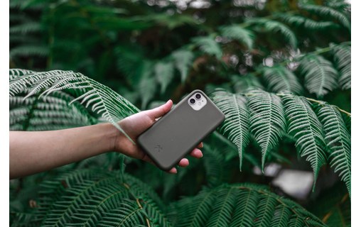 Woodcessories Bio Case iPhone 11 Vert - Coque de protection recyclable