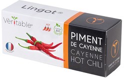 Véritable Lingot Piment de Cayenne pour potager d'intérieur