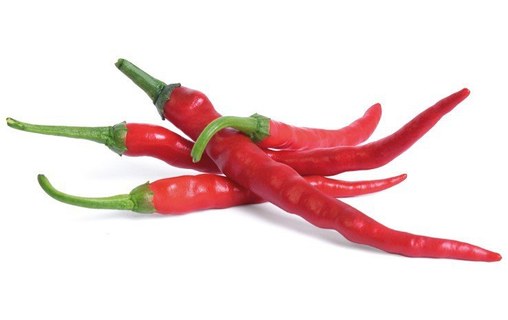 Véritable Lingot Piment de Cayenne pour potager d'intérieur