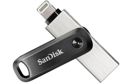 Clé Lightning et USB-A SanDisk iXpand 256 Go - Argent, Gris - USB 3.2