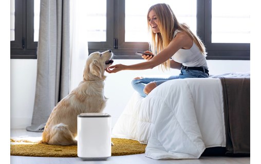 Petoneer AirMaster - Purificateur d'air connecté