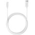 Câble USB-C vers USB-A 10 Gbit/s 2 mètres (Mâle / Mâle)