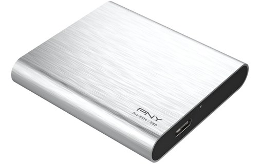 PNY Pro Elite 250 Go Argent