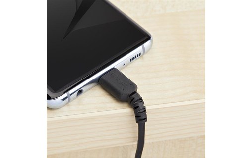 StarTech.com Câble USB-C vers USB 2.0 de 2 m - Noir