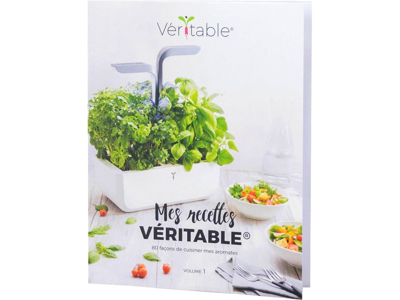 Lingot® - Menthe verte - POTAGER VÉRITABLE®