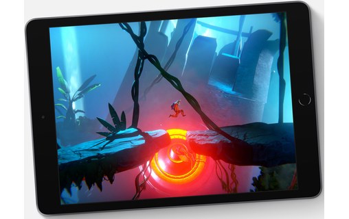 Apple iPad 10,2" - 2020 - Wi-Fi - 32 Go - Gris sidéral