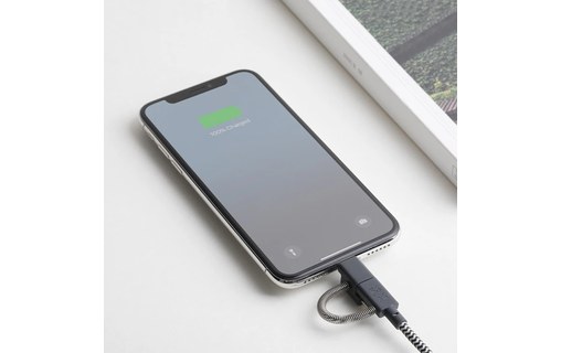 Native Union Belt Cable Universal Zebra - Câble USB Lightning, USB-C, micro-USB