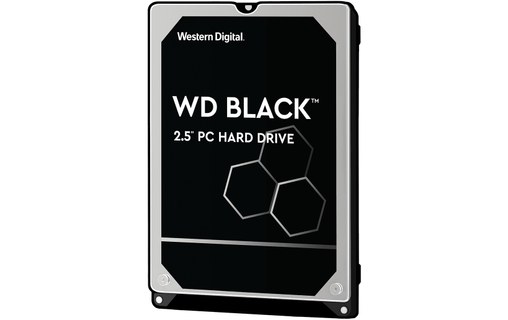 Western Digital Ultrastar WD5000LPSX disque dur 2.5 500 Go Série ATA III