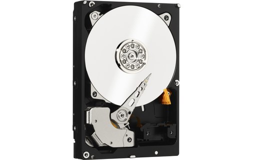 Western Digital WD Black 2 To - Disque dur 7200 tr/min - WD2003FZEX