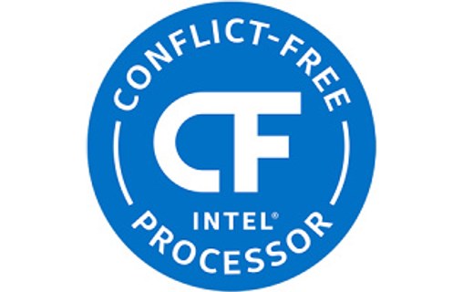 Boîtier Synology RackStation RS3621RPxs