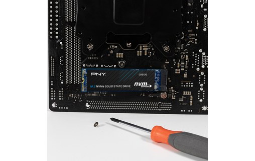 PNY CS2130 1 To - SSD M.2 2280 NVMe PCIe 3.0 3D NAND