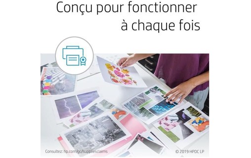 HP 305 Cartouche d'Encre Noir Authentique pour HP DeskJet 2300/ 2700/ Plus 4100,