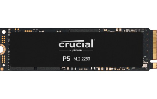 Crucial P5 M.2 1000 Go PCI Express 3.0 3D NAND NVMe