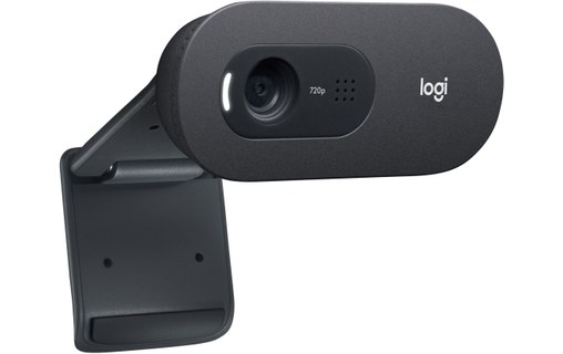 Logitech C505e webcam 1280 x 720 pixels USB Noir