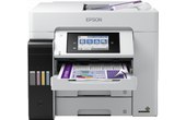 Imprimante multifonction Epson EcoTank ET-5880 - WiFi, AirPrint