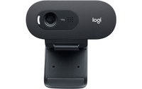 Logitech C505e webcam 1280 x 720 pixels USB Noir
