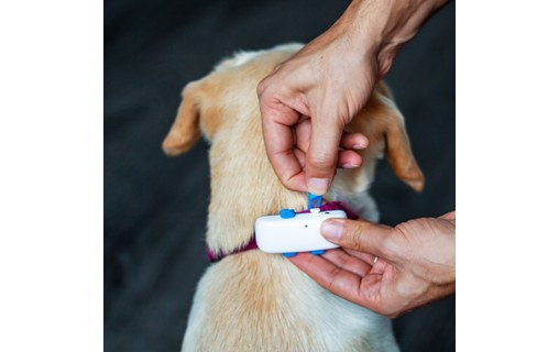 Tractive GPS DOG 4 - Traceur GPS pour chiens