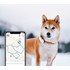 Tractive GPS DOG 4 - Traceur GPS pour chiens