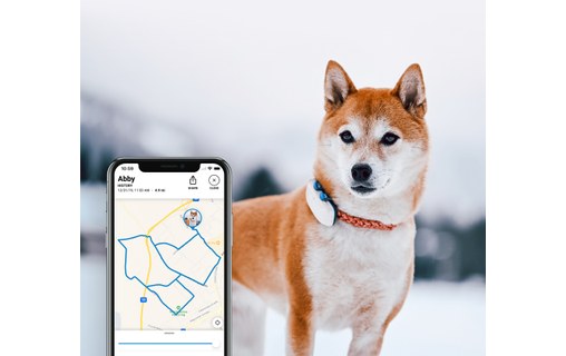 Tractive GPS DOG 4 - Traceur GPS pour chiens