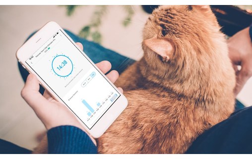 Petoneer Smart Odor Eliminator Pro - Purificateur d'air connecté pour litière