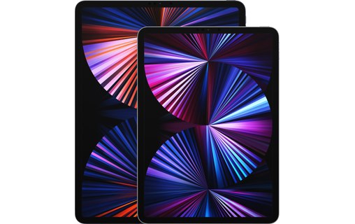 Apple iPad Pro 12,9" M1 - 2021 - Wi-Fi - 256 Go - Gris Sidéral