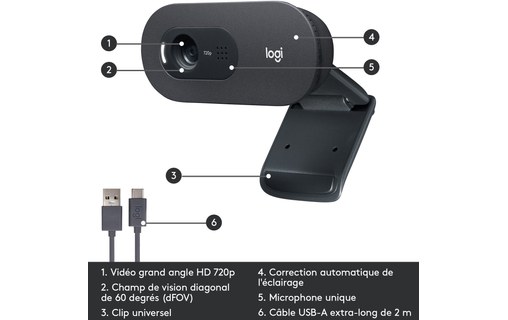 Logitech C505 HD Webcam