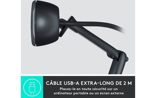 Logitech C505 HD Webcam