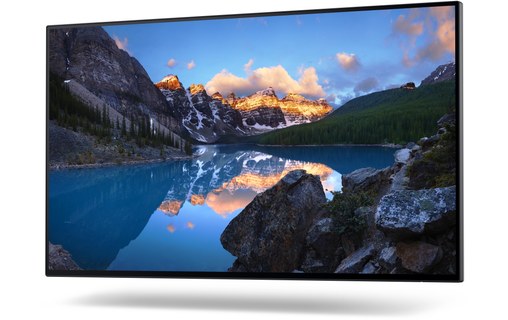 Écran 23,8" Dell UltraSharp U2422H - HDMI/DisplayPort/USB-C